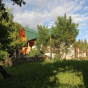 Portfolio Image