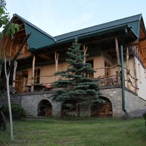 Portfolio Image